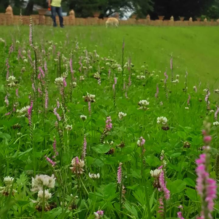 0851dcd9 474f 438a b00c ab3da8f8a95d 1561104491095