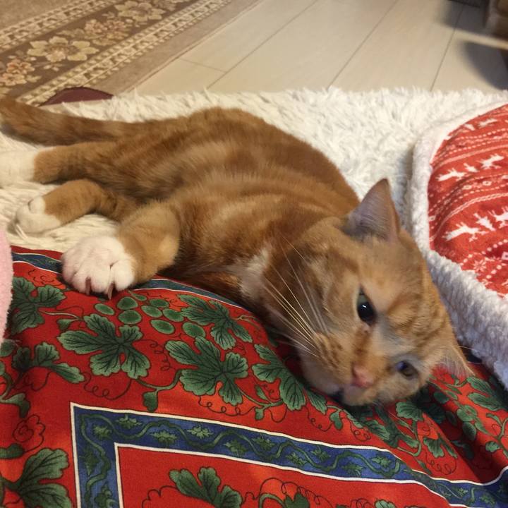 085243b2 6177 476b b255 c9de6c702f0d 1578746153172