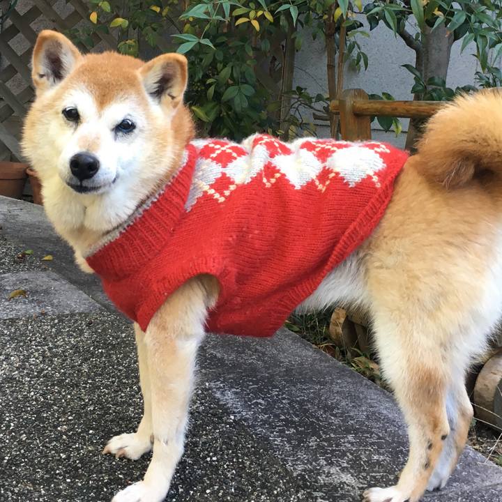 0852780d 8ba8 4d24 b0b0 ca67234e93ff 1510273604024