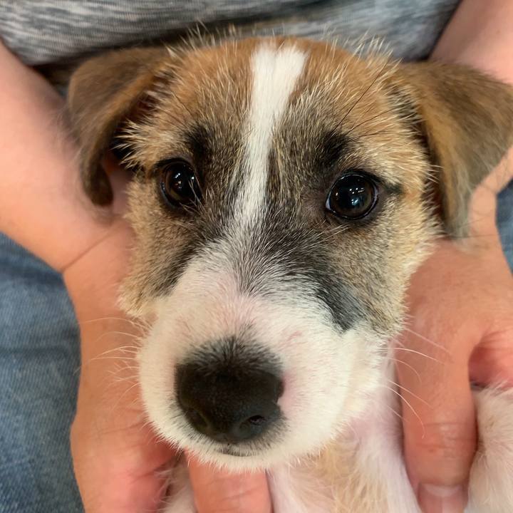 0852af76 b785 4713 80e4 f689e8ca9f39 1559806851279