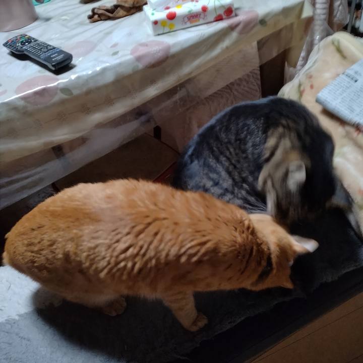 0852c024 1fbf 4fee 837d bb7c034a8273 1673303813364