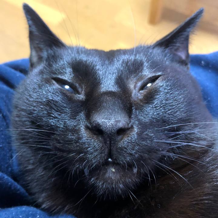 085317a9 968b 44d0 9708 cb73062cdf24 1733523170081