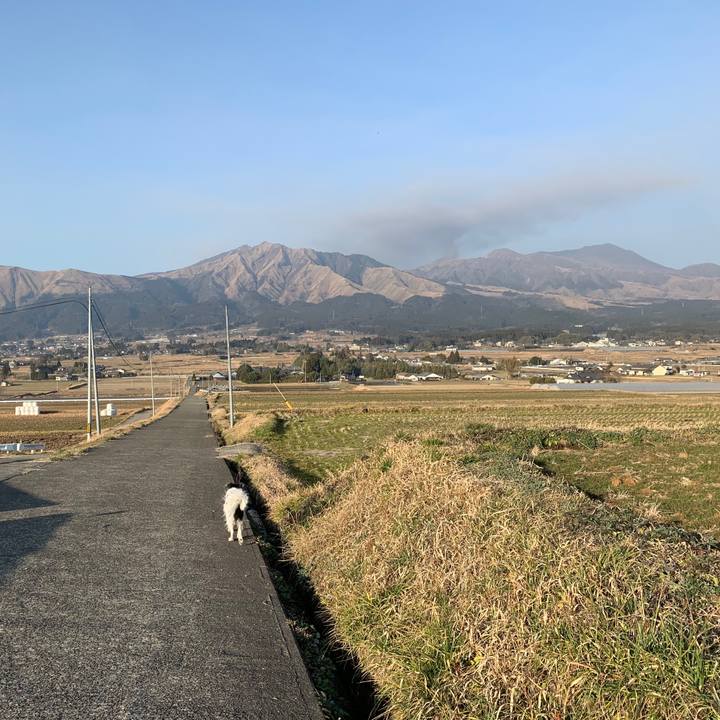 0853623c 9a79 4cc3 808f a44153e7488f 1579670045571