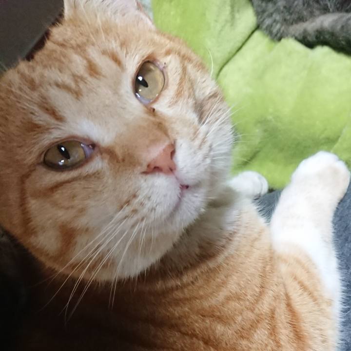 08538130 eec6 498b 9c83 16a89f0a2ab5 1583051357932