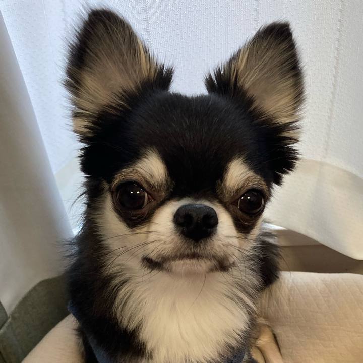 0853ce79 f763 4a7e a750 d059dbbfdaf5 1618698635230