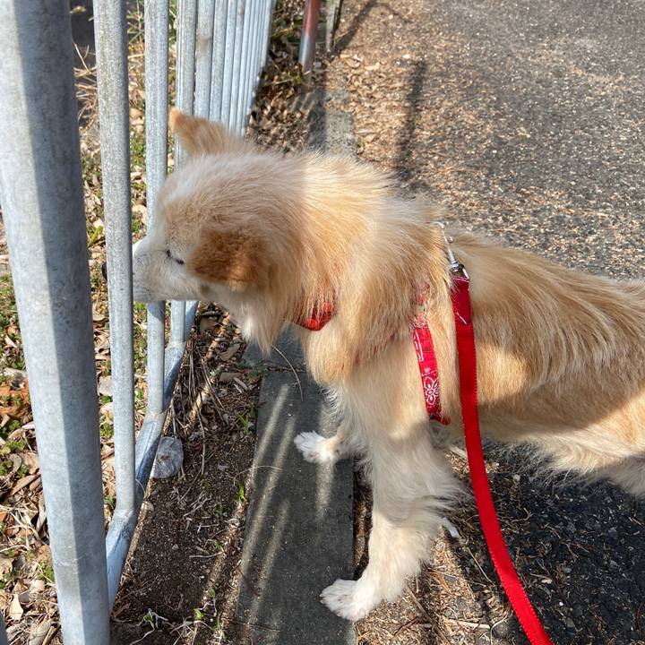 0853d26d a133 425c 8ea4 78db3f4a5421 1646966070152