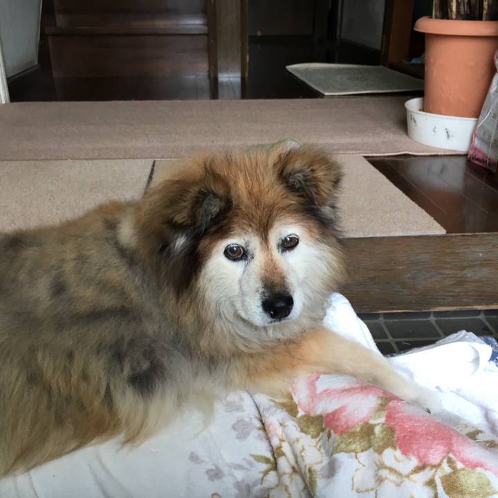 0853ea29 f1d2 47a9 a32b 5923eb04af1d 1548287446035