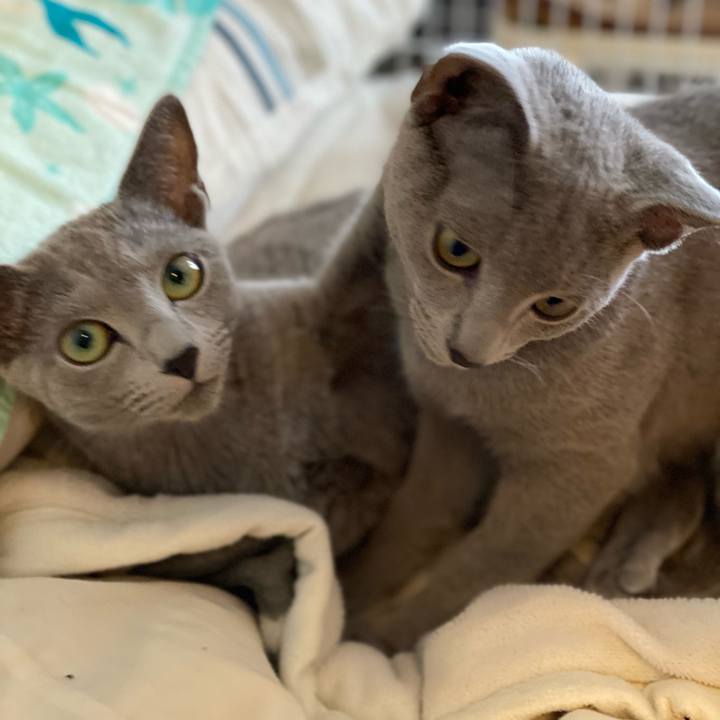 0853fa1d 378d 45a0 a669 eb81ca4123b9 1608098031208