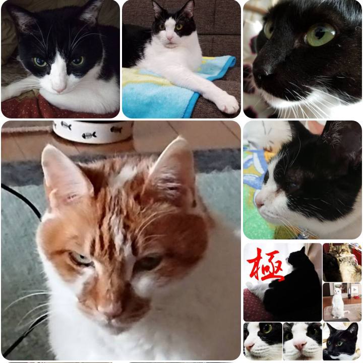 08540ae1 21a7 49ed 82f5 6cc4038bef54 1555250445907