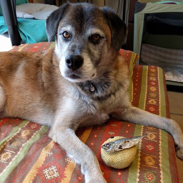 08540c59 f9b4 4b72 9023 4bff1ddb7731 1535962633585