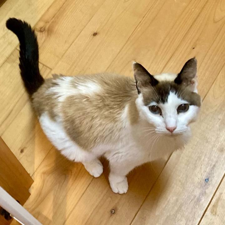 08540f22 f2c2 4a14 8beb 94a710f7ded1 1678571599019