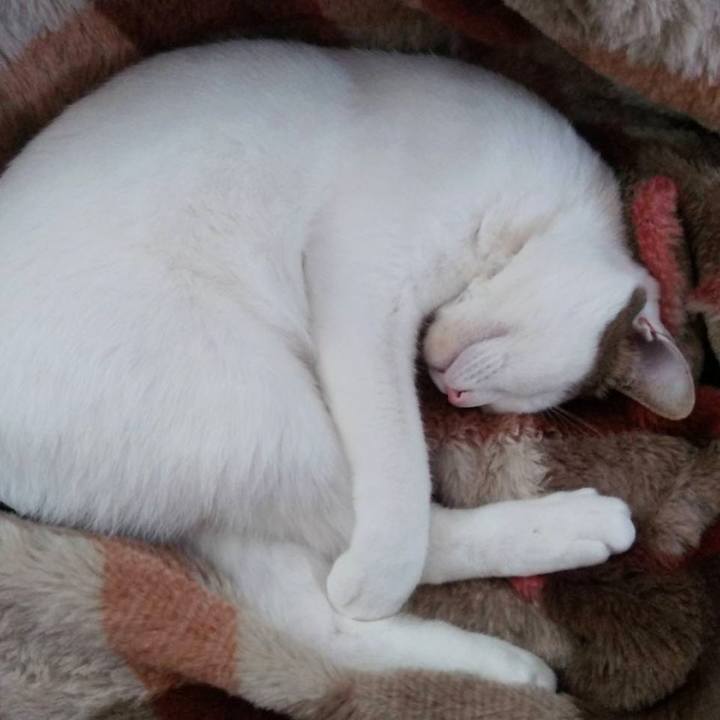 085443a4 c05c 44ee a5ad 9869ec229686 1705751502884