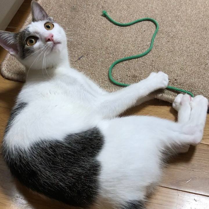 0854776e 8818 4746 9d41 61334e7701ad 1572091722717