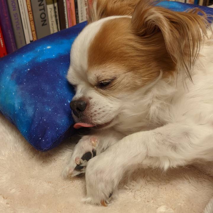 0854993c f076 4806 b044 ae18ebb5d12b 1615589658146