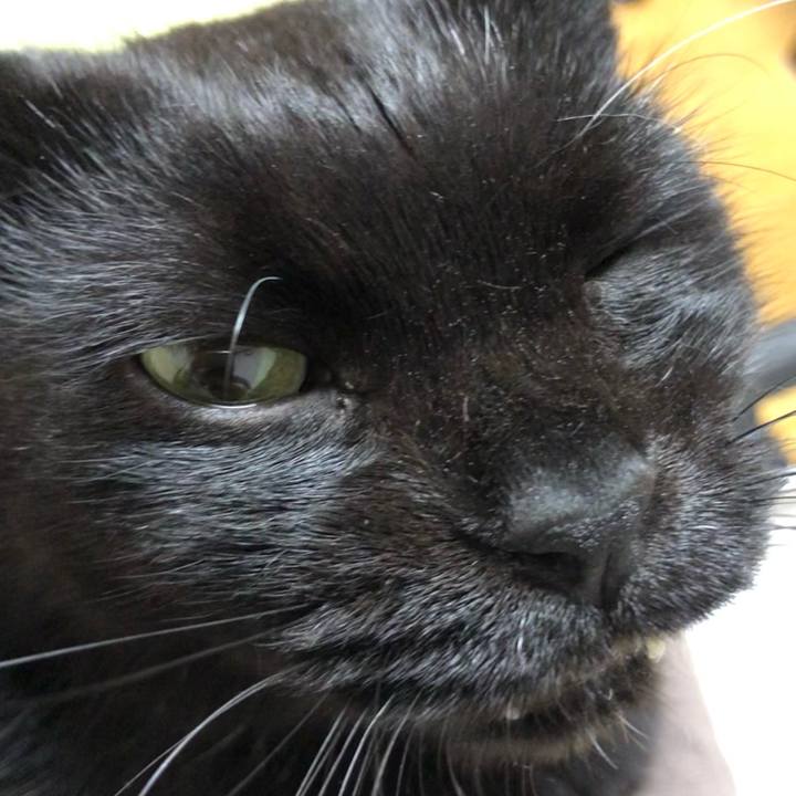 08549a24 8c9c 4fd1 a4ed f1c7d321d179 1637788406405