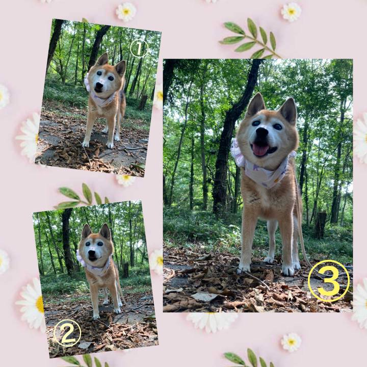 0854f4eb d8f8 48e3 a024 523677afac60 1756609643735