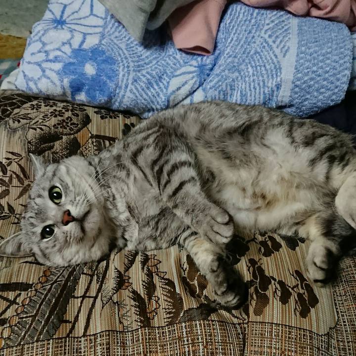 085520b6 7dae 4bab ad66 ee19767b6828 1512986996726