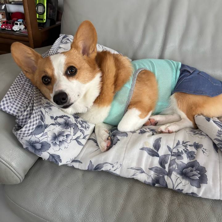 0855291f f3a2 4ae7 9a10 1840ec3eb8a8 1758242836848