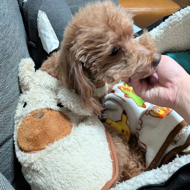 08554ed3 4699 4f17 bfea 61ea3cb51318 1768213471454