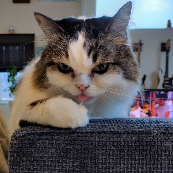 085563e7 df39 4784 bcb7 936a55c0d4b4 1764629982883