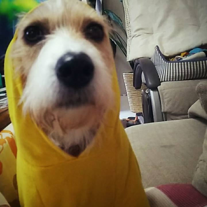 0855ab99 972e 42dc aa17 954dbeebfe49 1513752423749