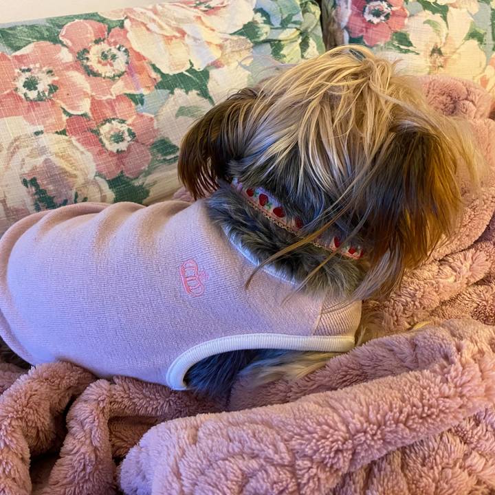 0855adab 4486 423f a59b f877492f3f51 1609116946028