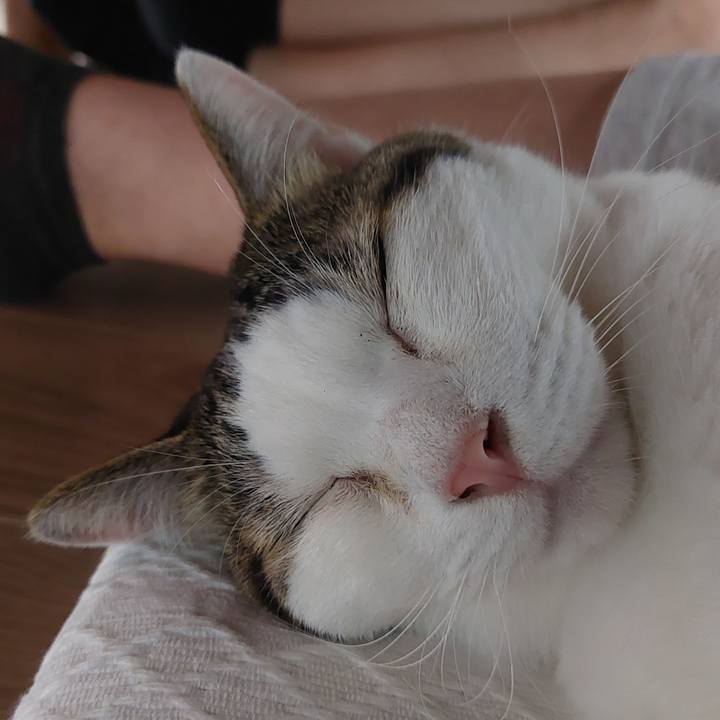 0855d8e9 8799 4bd6 8551 d803ec5d9b0d 1634215223653