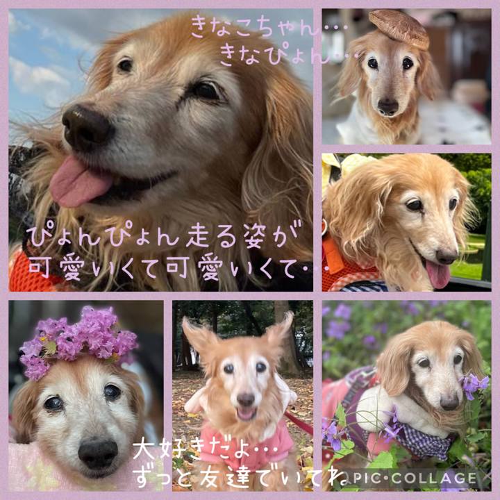 0855e1fc 3ae0 4191 9709 67af592807e1 1700289148870