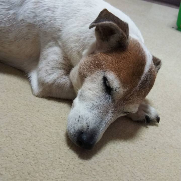 0855f353 4caf 43c6 91fe 3bdba626e080 1546238283722