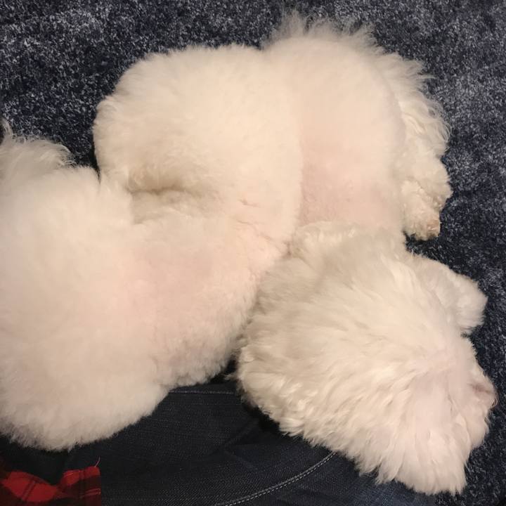 0855f8e5 f081 49da bf25 7df74f6a6723 1543392687001