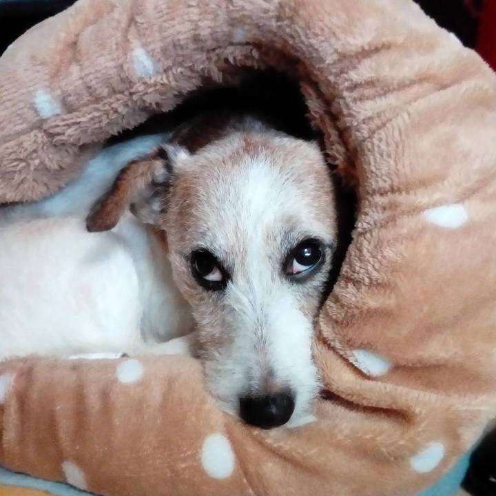 0856052d ea43 4cbd be53 872a467ebc9c 1572174727583