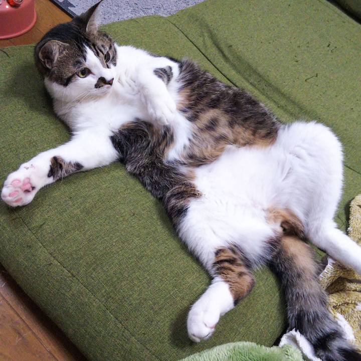 08562929 66b7 4628 ba67 be4c3223f06c 1637837593487