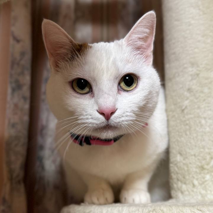 08562c43 c710 4334 989b 3a82417efd8c 1768656632131