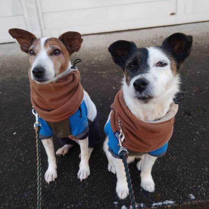 085635d5 ff34 495a 80fc f8e090332052 1767394867334