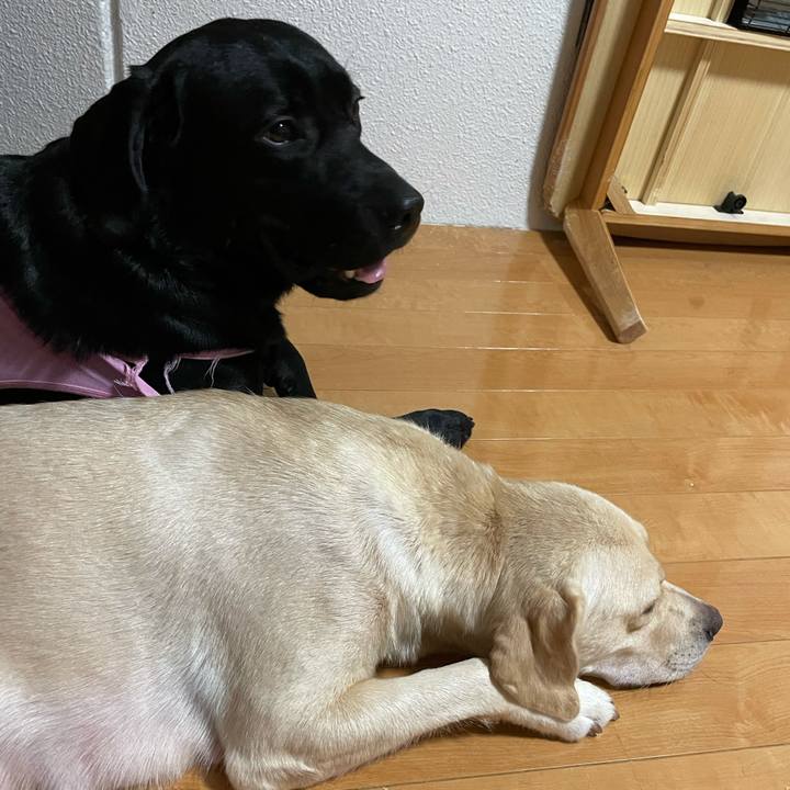 085655c7 7760 4901 9a0f 19ad587cb9b5 1631113307824