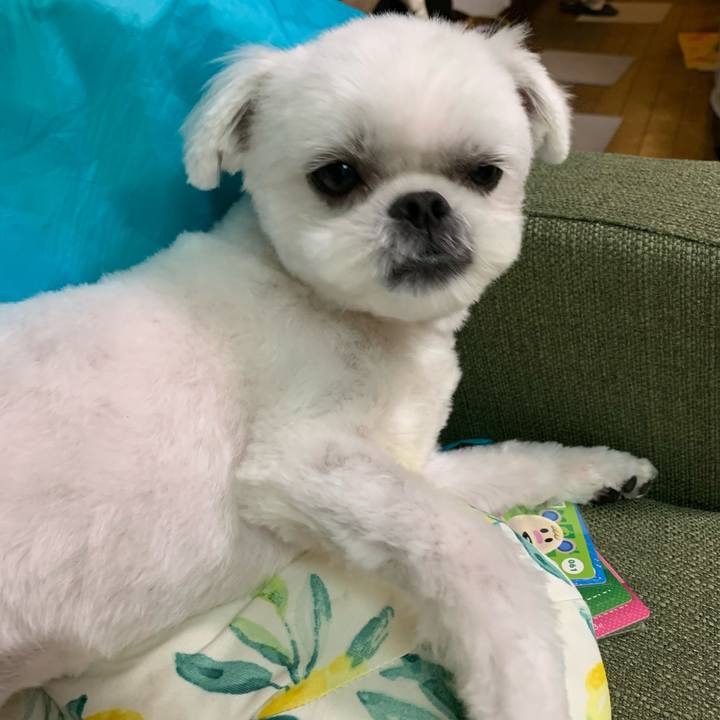 085673a1 7811 4fbb ac50 925ed94606f3 1660391546762