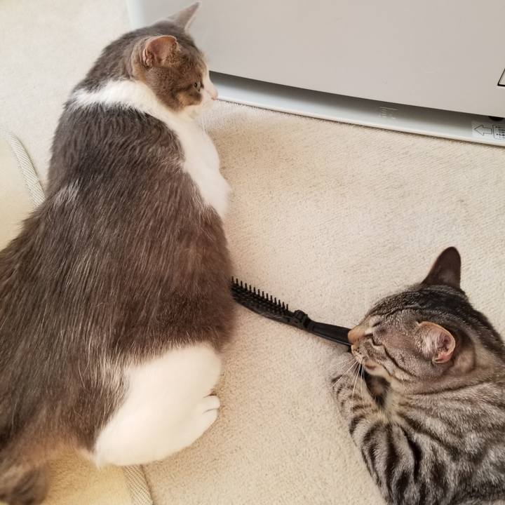 08567dd0 5d75 4062 993c 2eb076b908a1 1675483577695