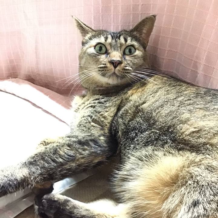 08568b82 13d7 40fd 9fae 74e2623b2459 1698754722607