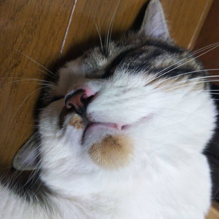 0856ba7d db00 42d6 a460 e09fde525a4e 1626434135585