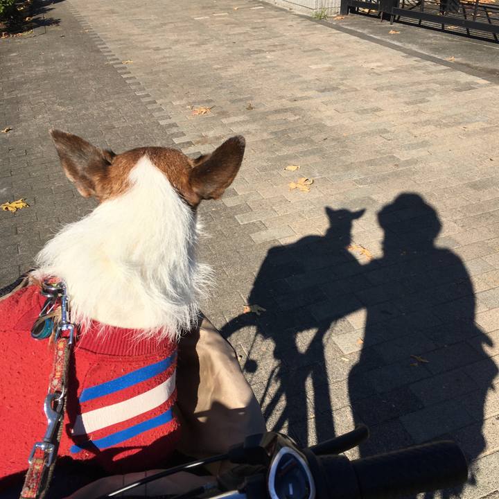 0856bd8b af0e 41fe b871 00bec5949510 1636762531238