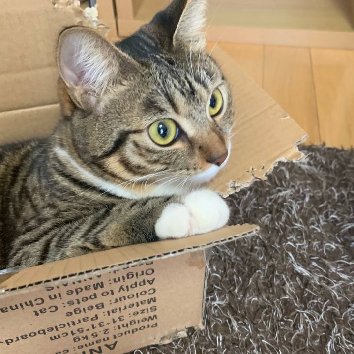 0856f299 0607 453c 8fc5 2b54cb96a51f 1545458890593