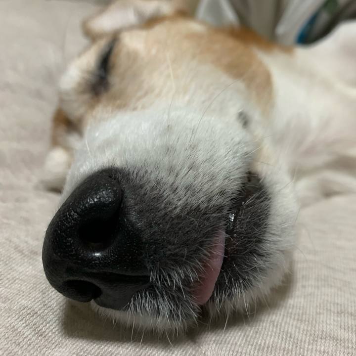 08570761 4827 4d87 9a57 8ad368af6321 1584277393779