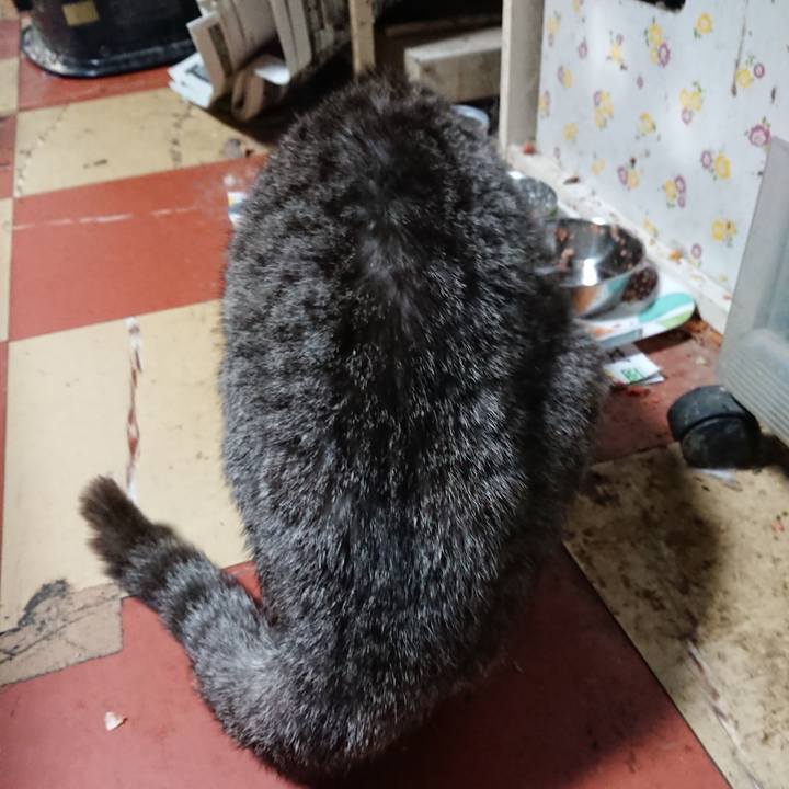 0857198a f338 4d7e 8244 15c429e2c081 1590265220084