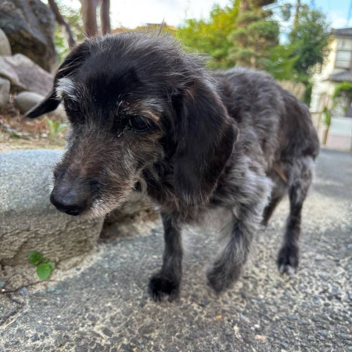 085738a5 382f 42b4 a059 fdaa8658aa5e 1758758353760