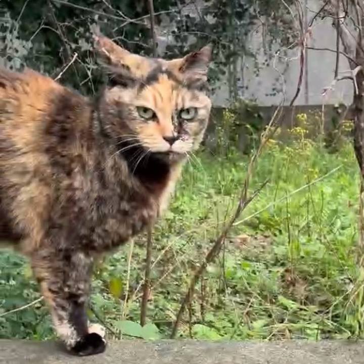 08573f61 b492 4709 b91b 469e6fb7782b 1772420561833