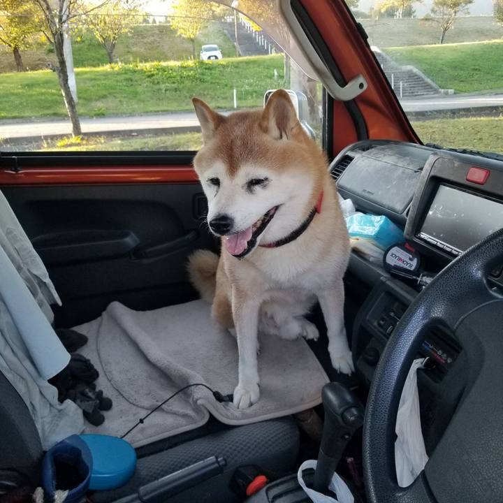 08574325 7096 4af7 9a7b 56aeae60992b 1728804438339