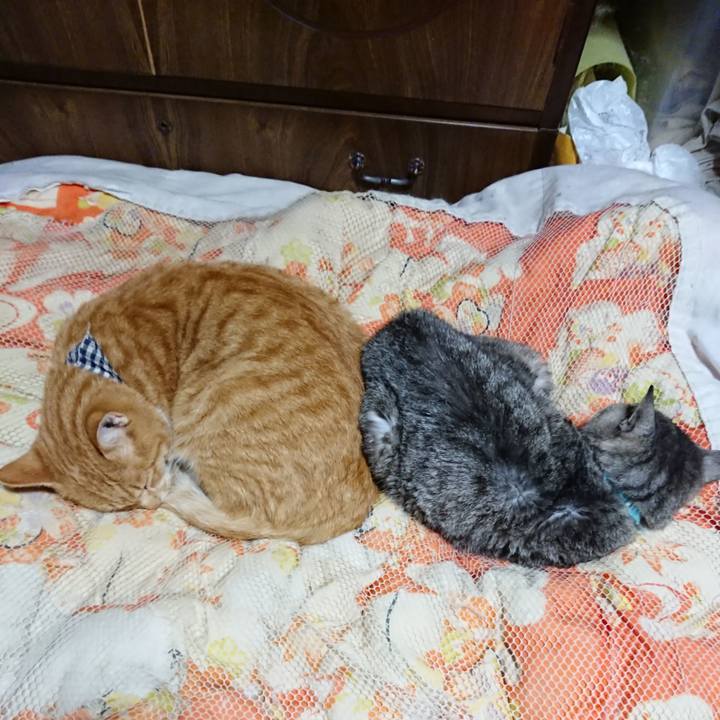 0857672f be1a 4bb9 833a 59cdf43ed00a 1572178581682