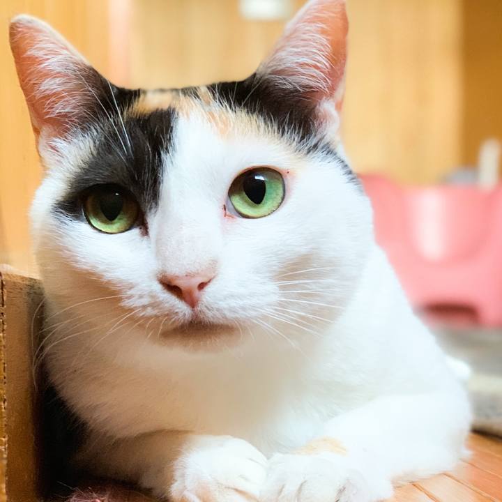 08577698 8264 4faa bfd4 9ffc215d50f5 1565659740092