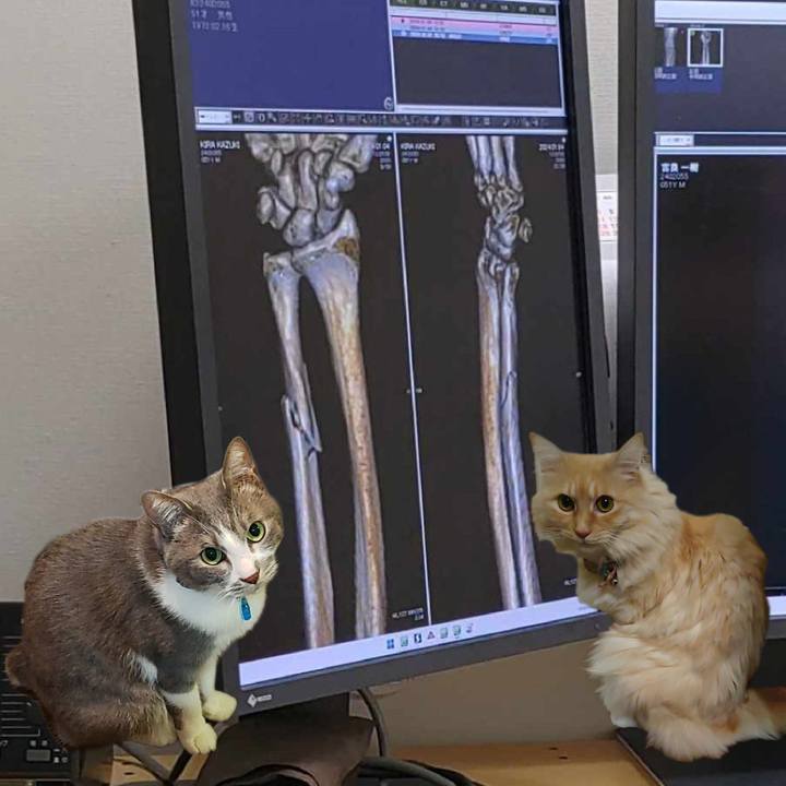 085795d3 349c 4ac6 91ec b5cc5060376b 1704370807134