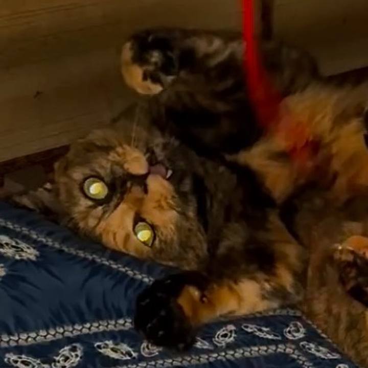 08579d53 67be 4c17 bcbf a60ed55c28a8 1759090636571